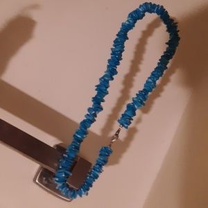 Blue eyed Authentic seashell necklace